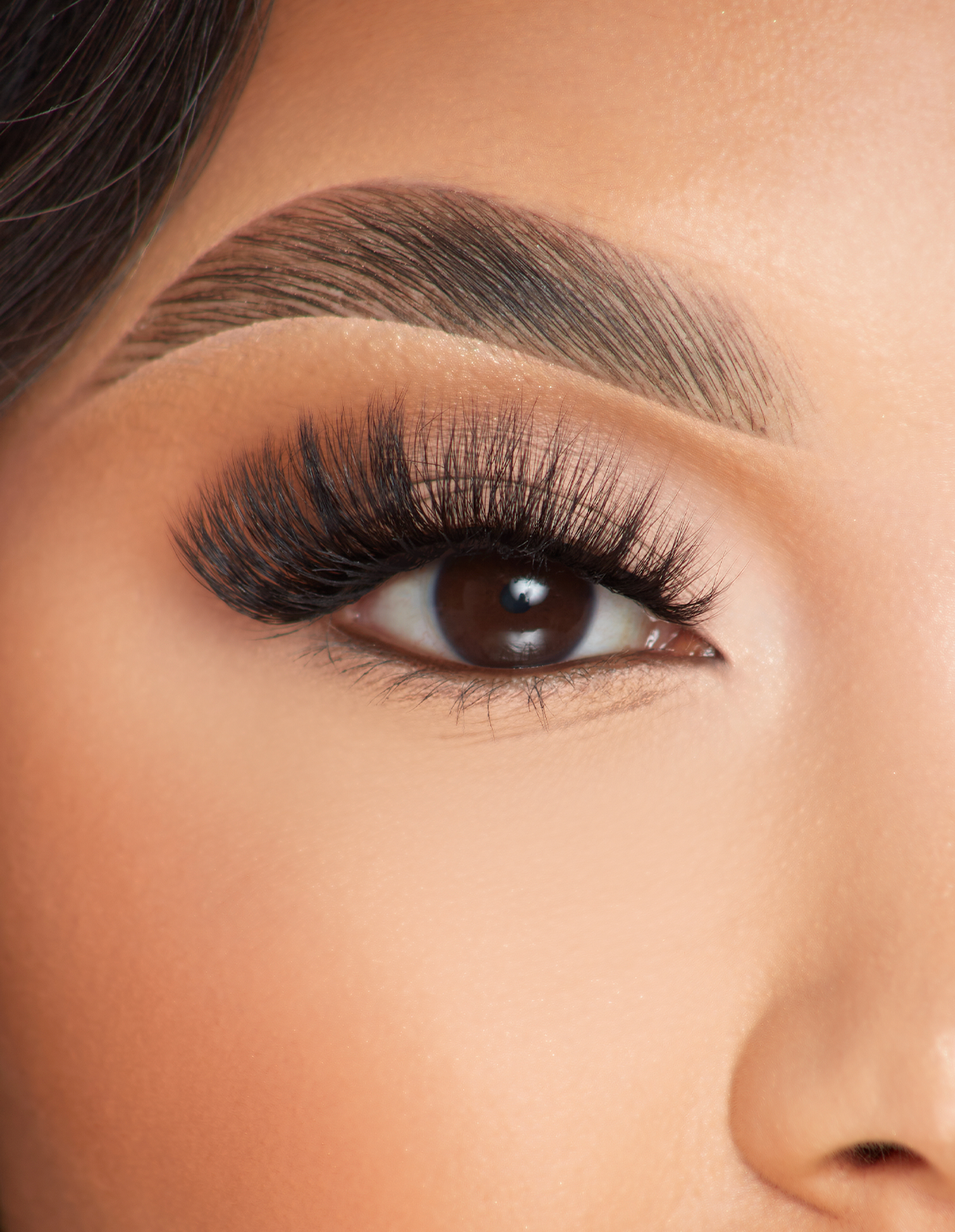 Cat Eye False Eyelashes with Ultra Dark Finish | P.Louise Lashes