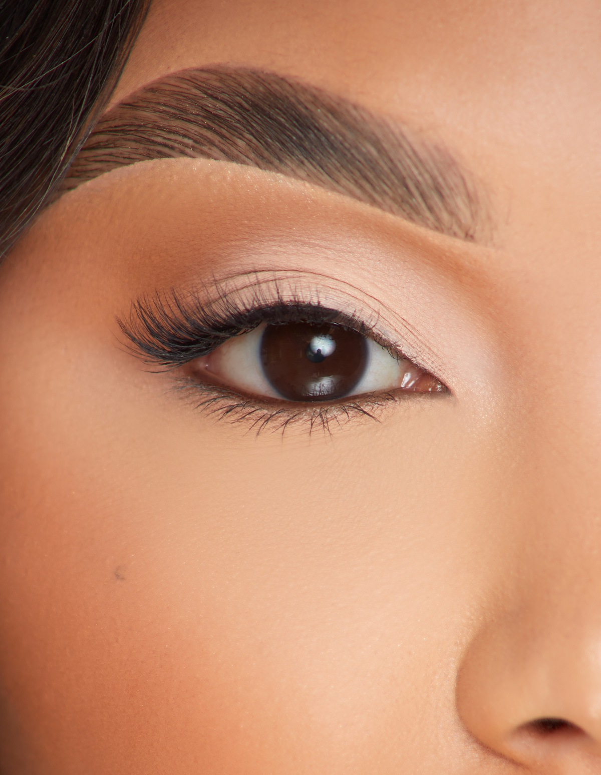 Marriage Material False Eyelashes for Dramatic Look | P.Louise Lashes