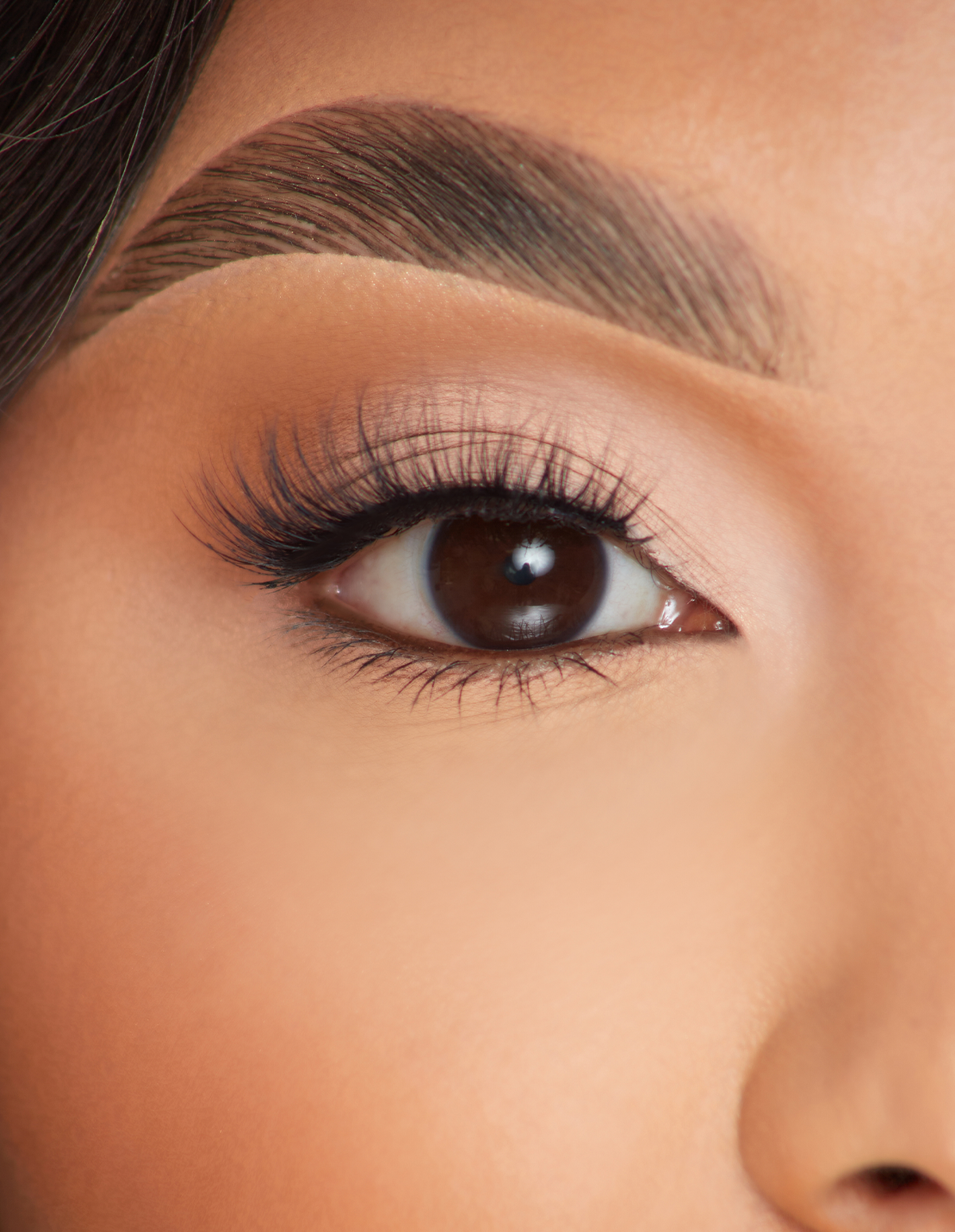 One Last Love False Eyelashes for Bold Look | P.Louise Lashes