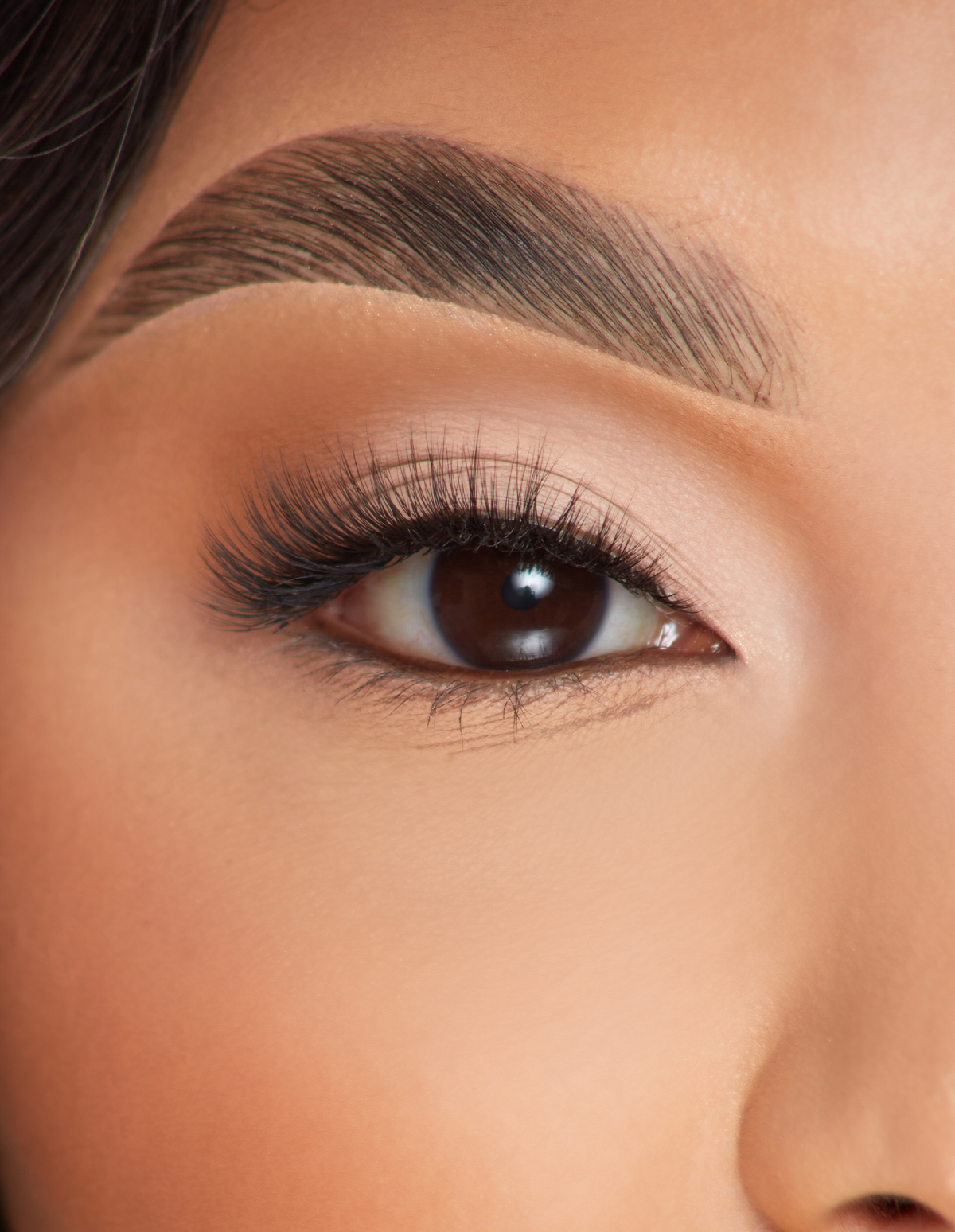 Natural False Eyelashes for Daily Wear | P.Louise Pure Purpose