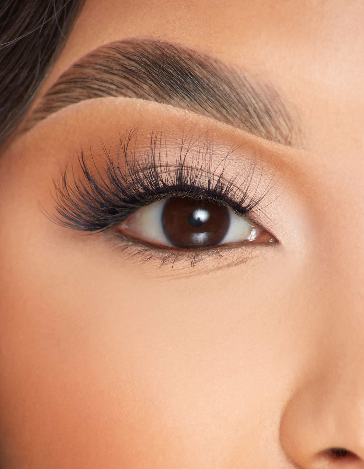 Radiant Romance False Eyelashes for Dramatic Look | P.Louise Lashes