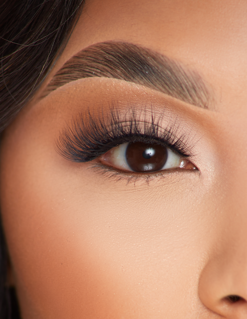False Eyelashes for Dramatic Look | P.Louise Lashes Siren Stun