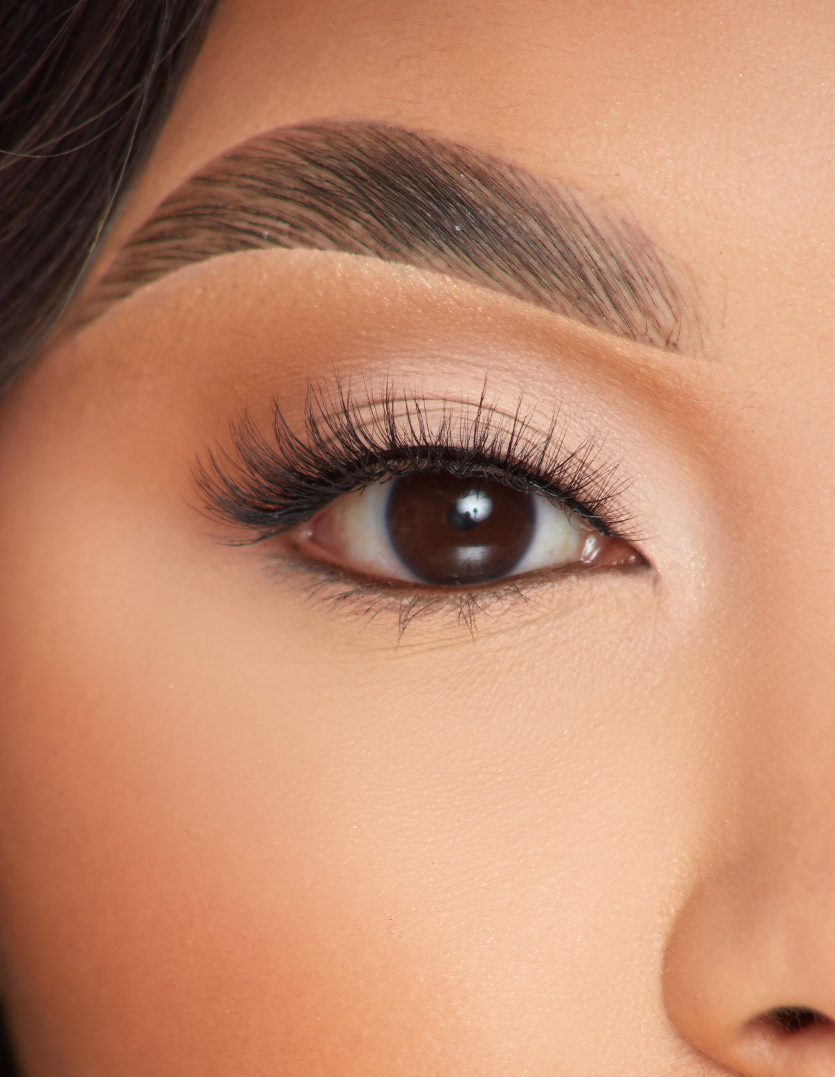 Natural-Look False Eyelashes for Everyday Wear | P.Louise So Graceful