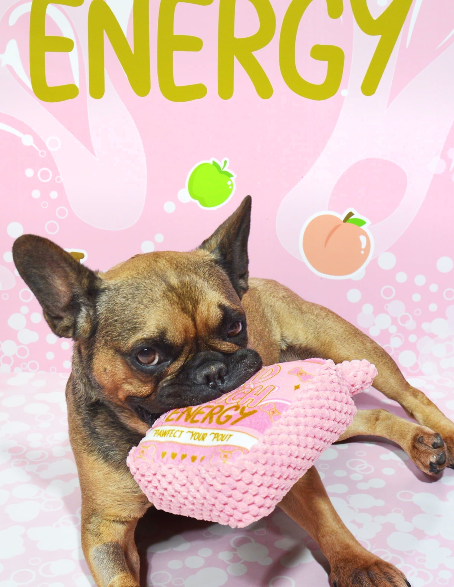 Bad B Dog Toy for Fetch & Play | P.Louise Plush Pet Toy